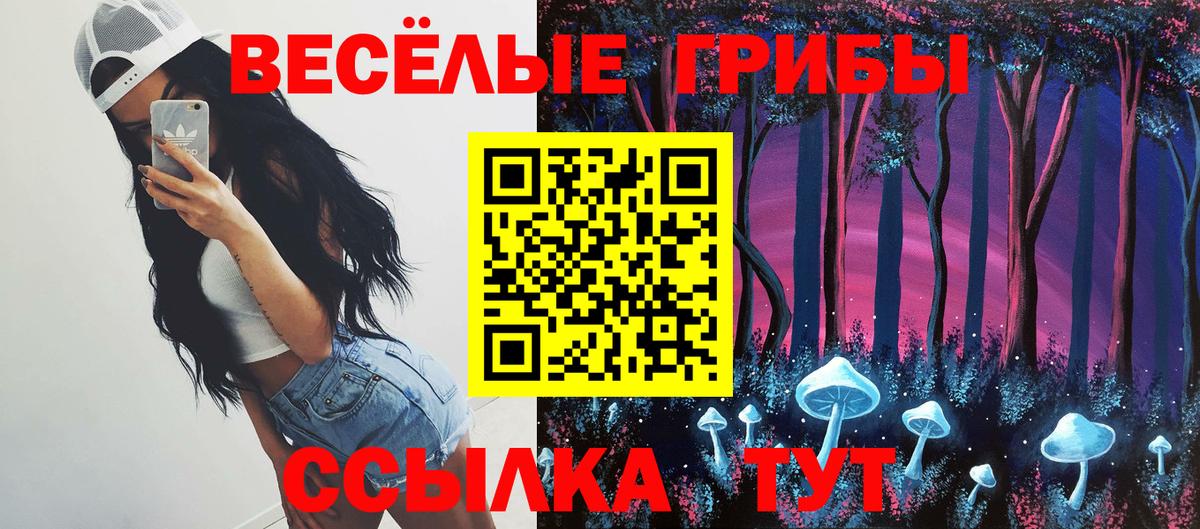Галлюциногенные грибы Magic Shrooms  Вход с VPN  Строитель 
