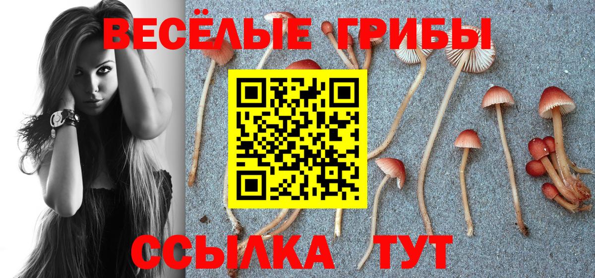МЕТАДОН Строитель