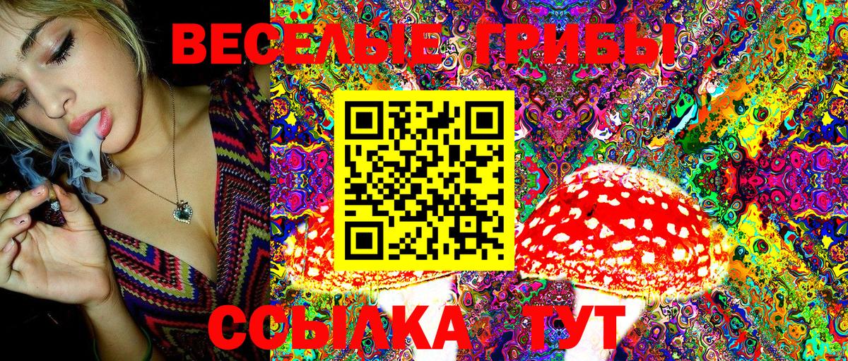 Псилоцибиновые грибы MAGIC MUSHROOMS Строитель